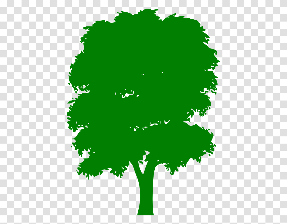 Tree Clipart Clipart Green Tree, Plant, Leaf, Silhouette Transparent Png