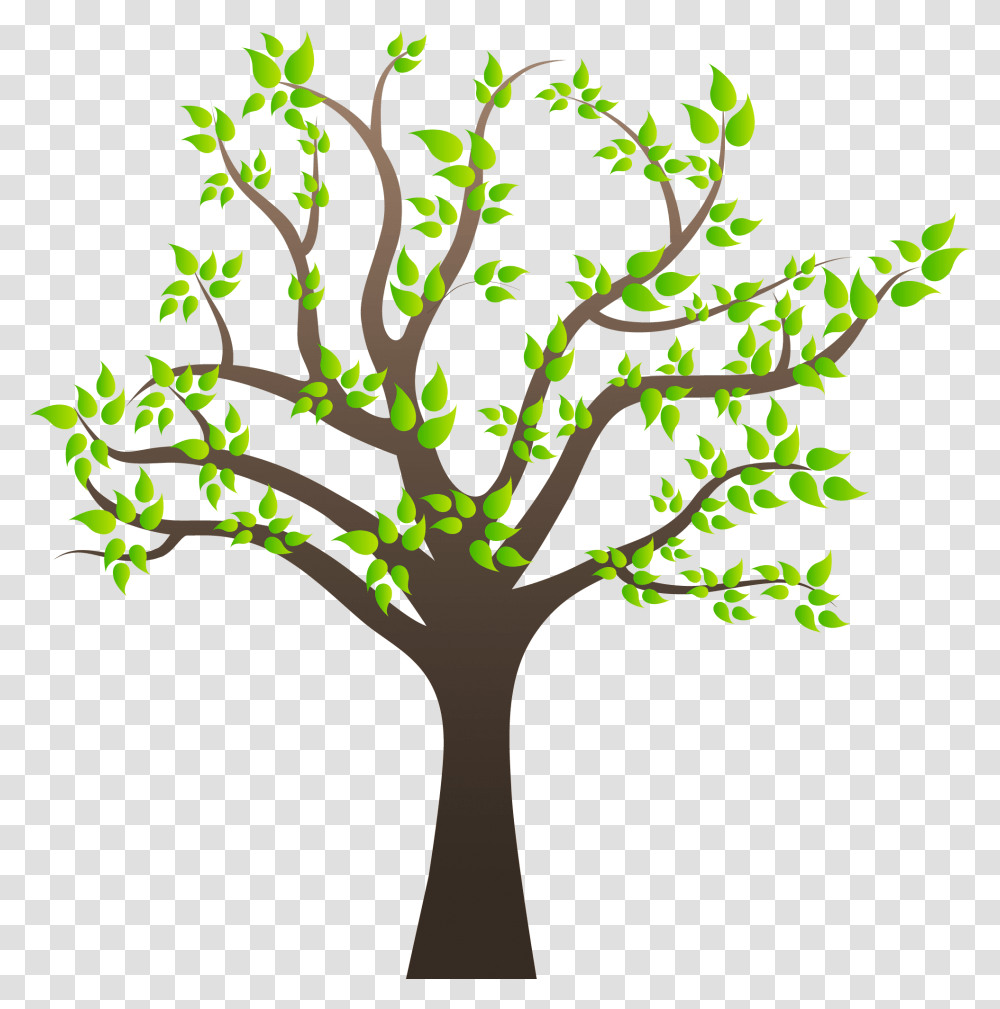Tree Clipart Clipart Indian Tree, Plant, Leaf, Tree Trunk Transparent Png