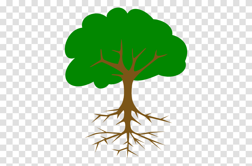 Tree Clipart Clipart Vector, Plant, Root Transparent Png