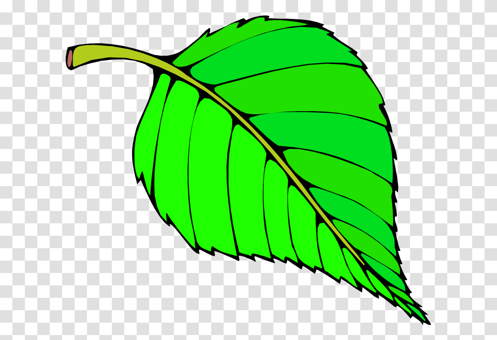Tree Clipart Leaf Hungry Caterpillar Green Leaf, Plant, Helmet, Apparel Transparent Png