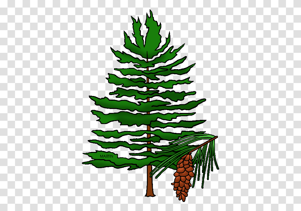 Tree Clipart North Carolina Maine Tree Maine State Tree, Plant, Ornament, Christmas Tree, Pine Transparent Png