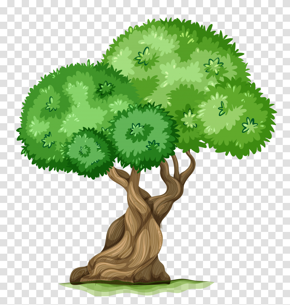 Tree Clipart, Plant, Broccoli, Vegetable, Food Transparent Png