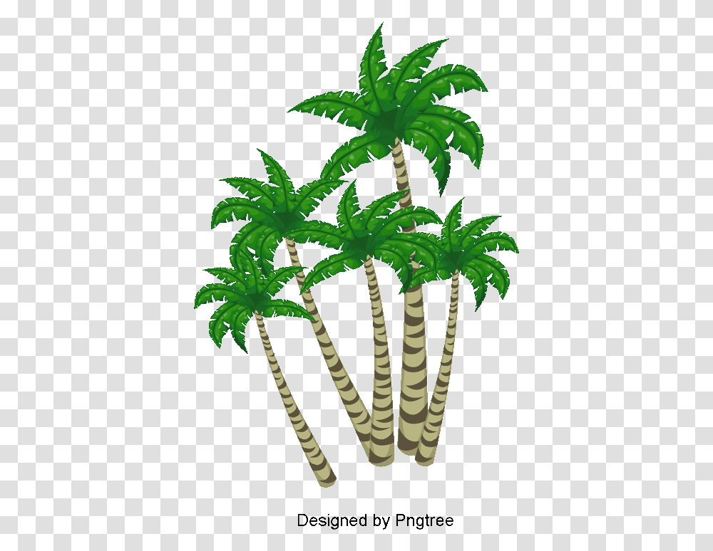 Tree Clipart, Plant, Fern, Palm Tree, Arecaceae Transparent Png