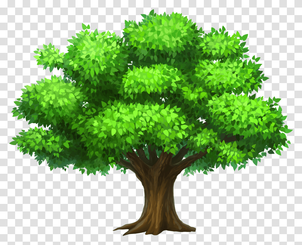 Tree Clipart, Plant, Maple, Leaf, Bush Transparent Png