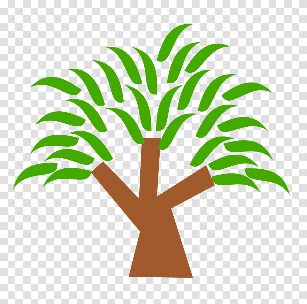 Tree Clipart, Plant, Palm Tree, Arecaceae Transparent Png