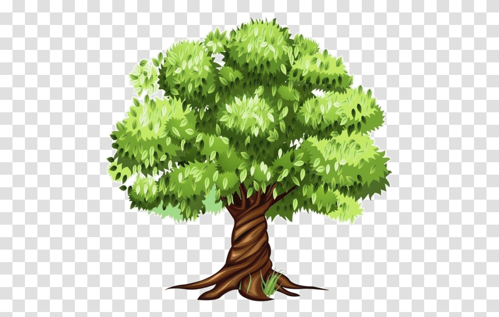 Tree Clipart, Plant, Palm Tree, Arecaceae, Oak Transparent Png