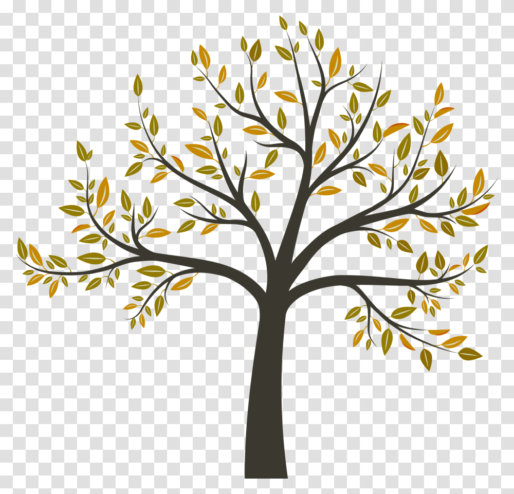 Tree Clipart, Plant, Tree Trunk, Maple Transparent Png