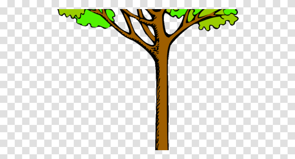 Tree Clipart Rainforest Cartoon Kauri Tree Tall Tree Clipart, Plant, Hammer, Tool, Symbol Transparent Png