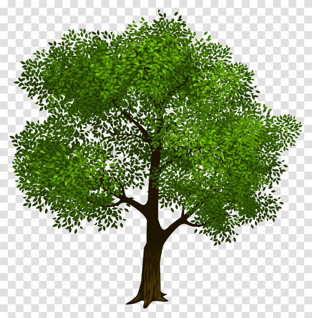 Tree Clipart Trees Vector Clip Art Tree Photo Graphics Tree With Background Transparent Png
