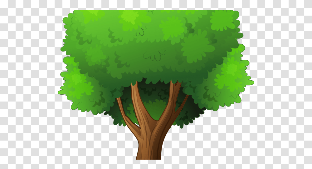 Tree Clipart Tress Tree Clipart No Background Clipart Tree Background, Green, Plant, Broccoli, Vegetable Transparent Png