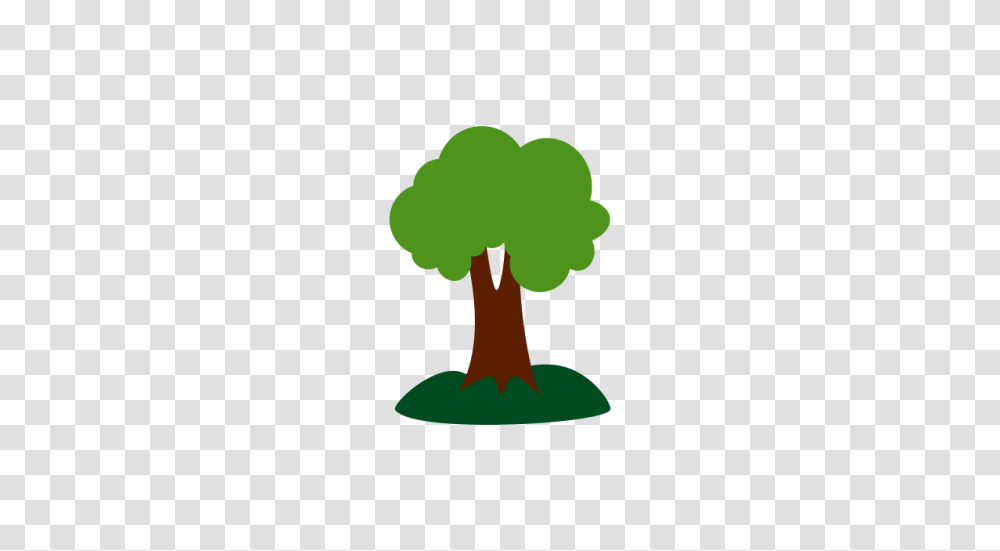 Tree Clipart Vector And Free Download The Graphic Cave, Plant, Green, Vegetable, Food Transparent Png