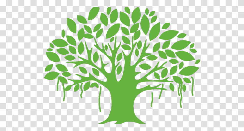 Tree Clipart Vector Banyan Tree, Plant, Food, Vegetable, Broccoli Transparent Png
