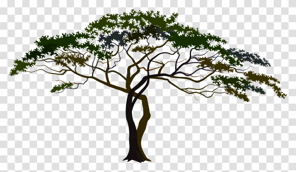 Tree Clipart With Background Graphic African Tree Clipart, Plant, Tree Trunk, Outdoors, Nature Transparent Png
