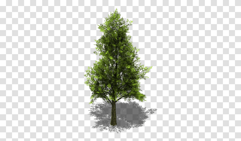 Tree Collection V26 Bleed's Game Art Opengameartorg Realistic Isometric Tree, Plant, Conifer, Cow, Mammal Transparent Png