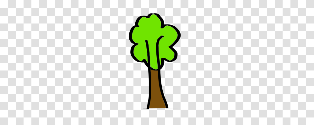 Tree Computer Icons Bonsai Art Drawing, Plant, Produce, Food, Vegetable Transparent Png