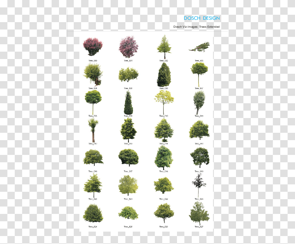 Tree Cutout Dosch 2d Vizimages White Pine Nomor Telepon Sandy, Plant, Conifer, Fir, Potted Plant Transparent Png