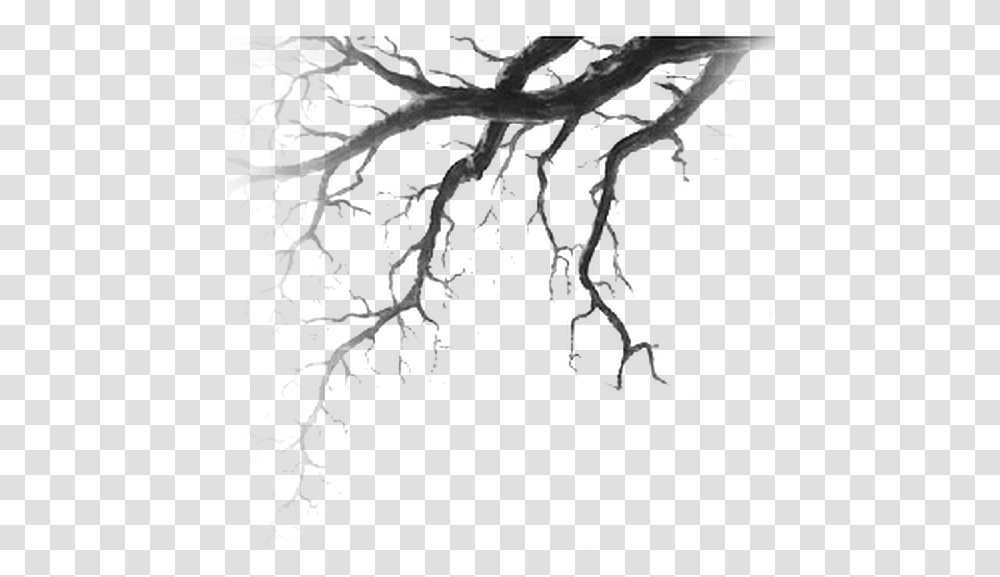 Tree Deadtree Forest Nature Branch Foreground Tree Drawing Horror, Gray Transparent Png