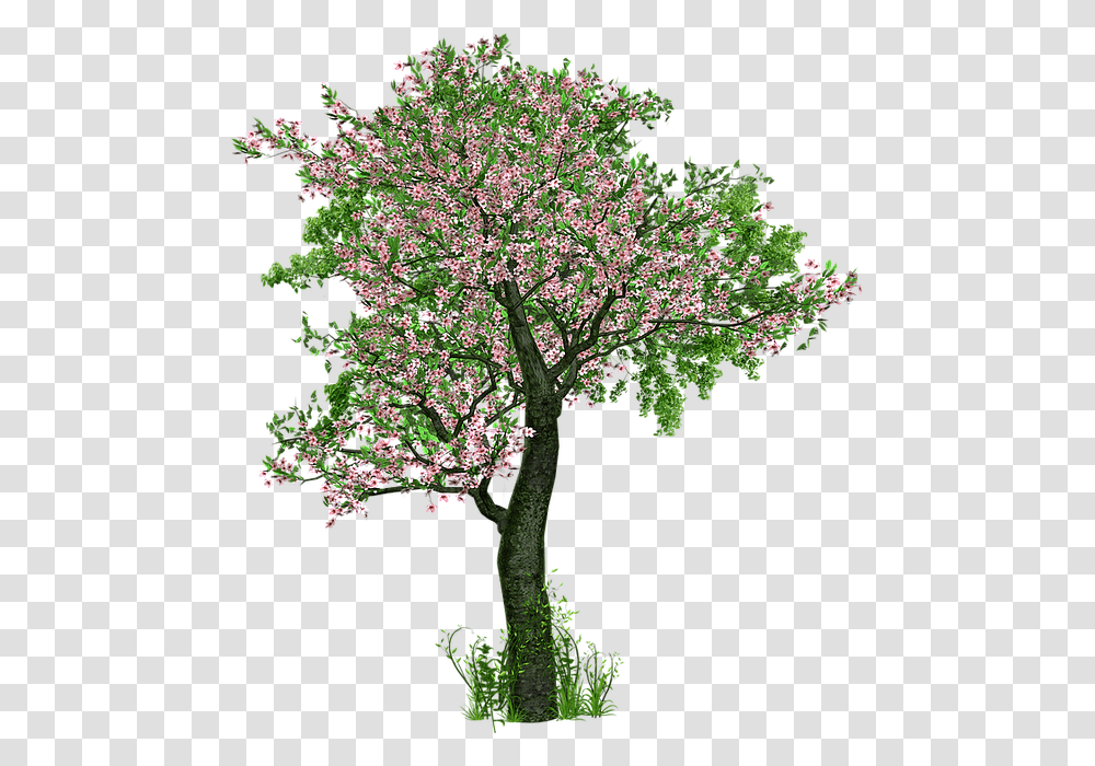 Tree Deciduous Tree Flowers Grass Digital Art Trees With Flowers, Plant, Bonsai, Potted Plant, Vase Transparent Png