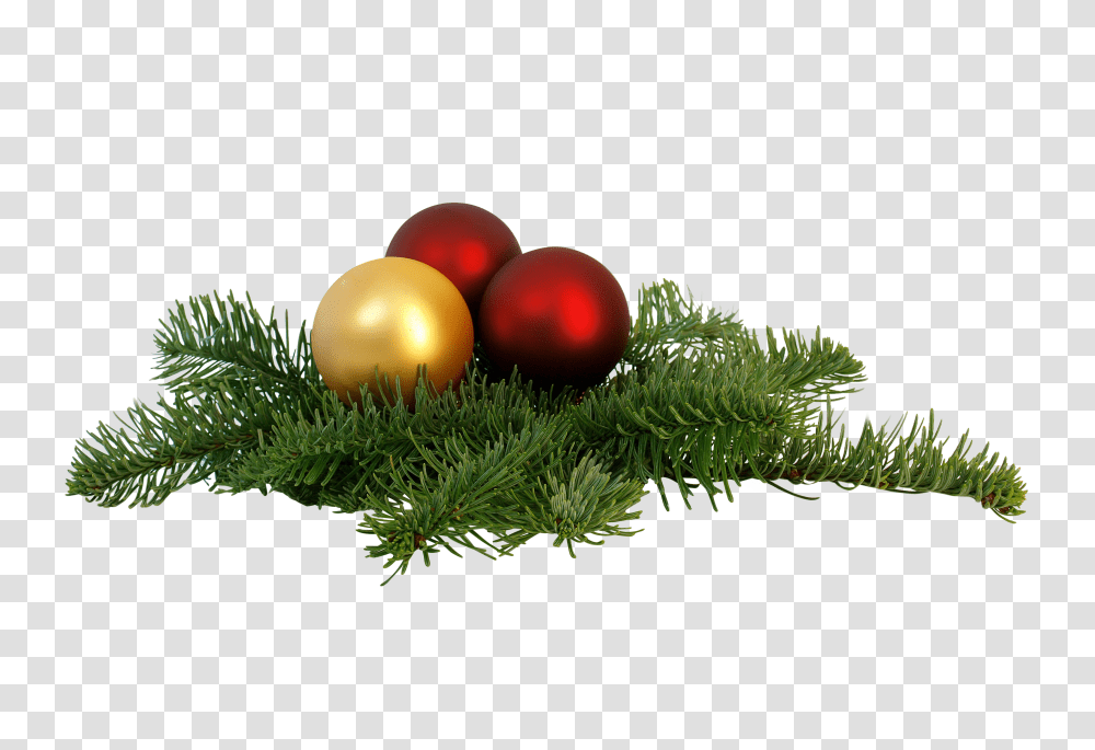 Tree Decorations Clip, Holiday, Sphere, Plant, Grass Transparent Png
