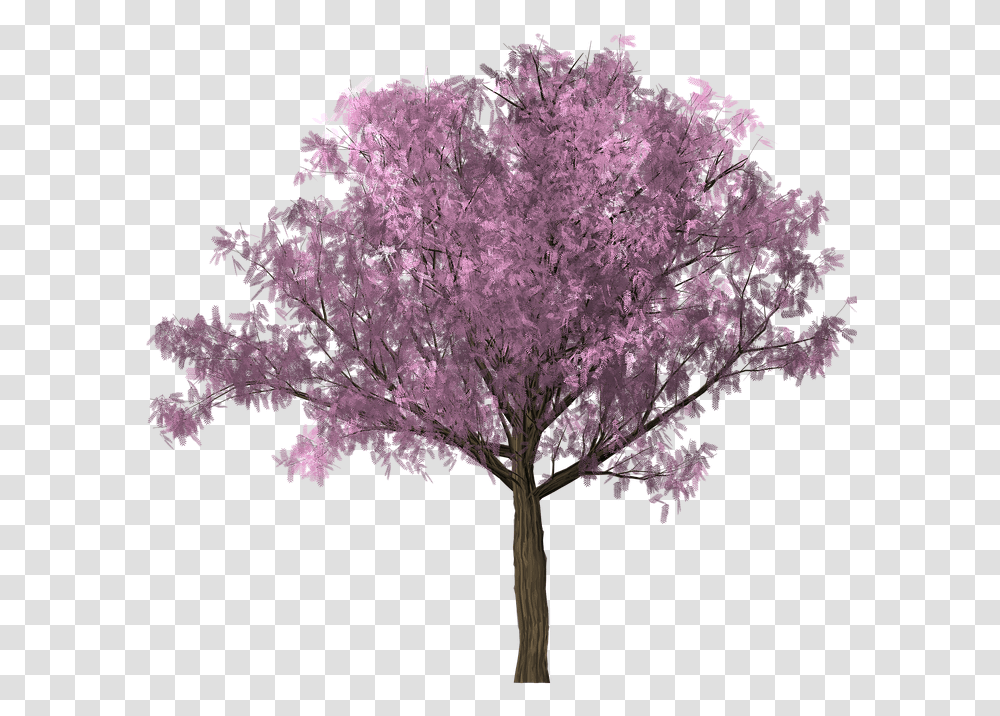 Tree Design Graphics Clipping Scrap Photoshop Cherry Blossom Tree Photoshop, Plant, Flower Transparent Png