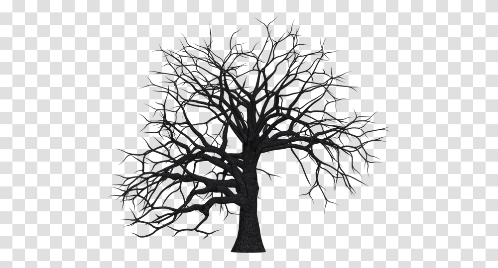 Tree Digital Art Isolated Without Leaves Leafless Dead Trees Clip Art, Nature, Outdoors, Plant, Night Transparent Png