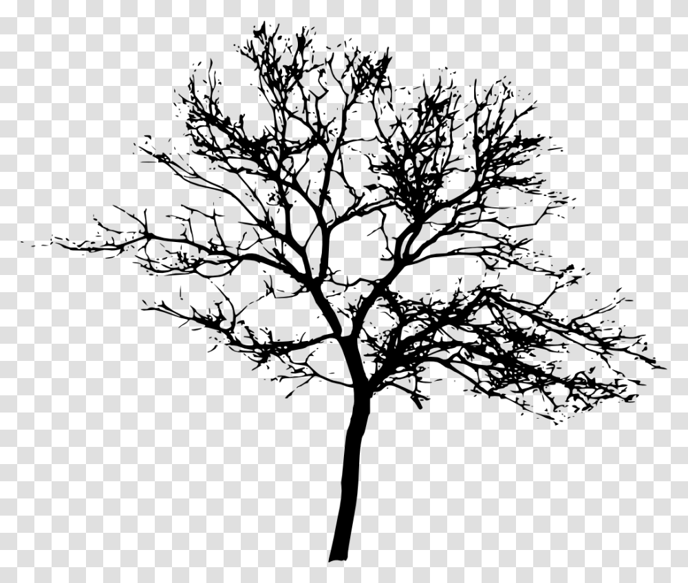 Tree Display Resolution Clip Art Silhouette Trees Background, Plant, Stencil, Tree Trunk, Leaf Transparent Png