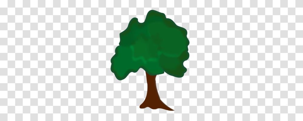 Tree Download Computer, Key, Mountain, Outdoors, Nature Transparent Png