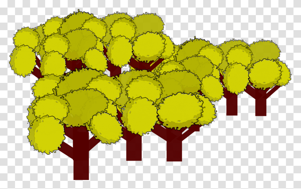 Tree Download Computer, Plant, Fruit, Food, Grapes Transparent Png