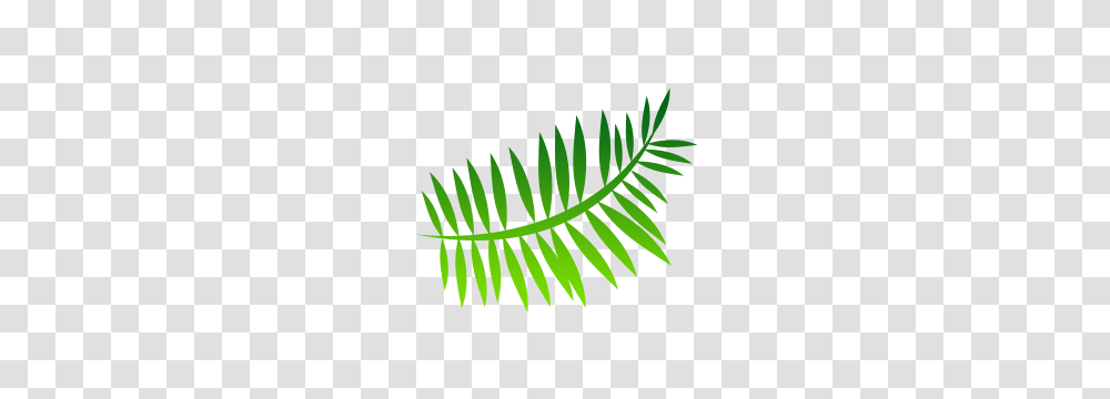 Tree Download, Leaf, Plant, Green, Fern Transparent Png