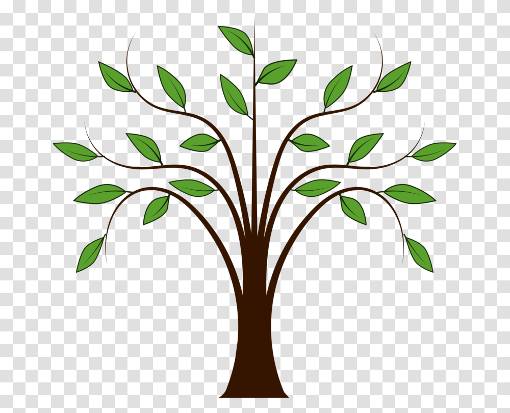Tree Download Oak Document, Floral Design, Pattern Transparent Png