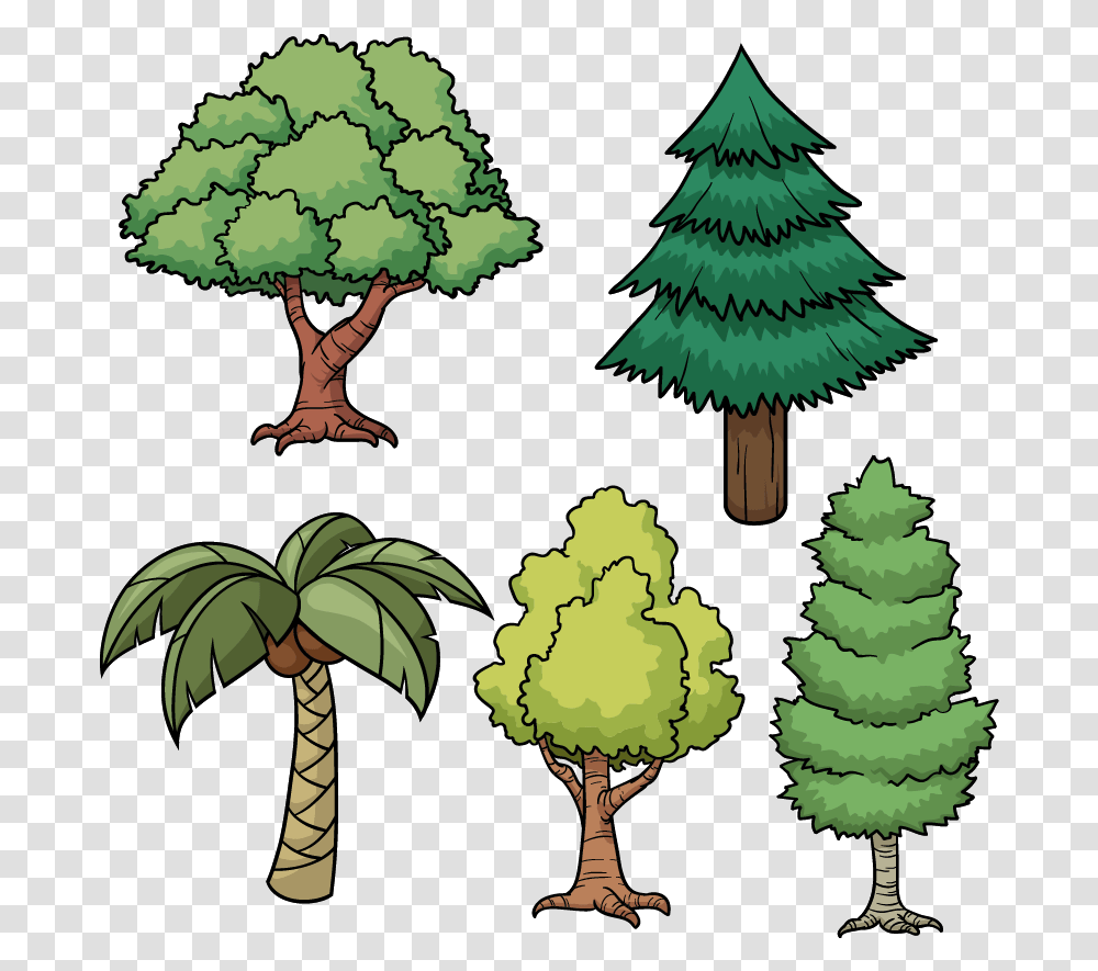 Tree Drawing Cartoon Pine Cartoon Picture Of Trees Different Types Of Trees Easy, Plant, Ornament, Christmas Tree, Painting Transparent Png