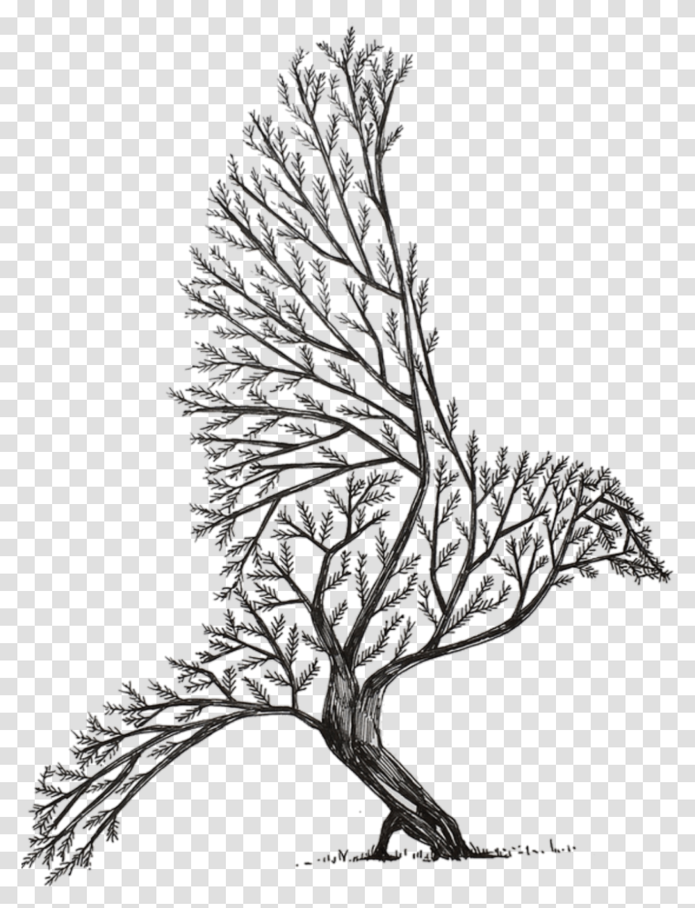 Tree Drawing Cool Tree Drawing Easy, Plant, Bird, Animal, Snowflake Transparent Png