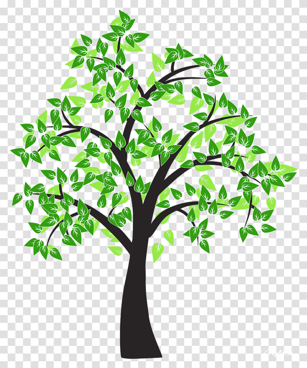 Tree Drawing Cottonwood Leaf Tree Drawing No Background, Plant, Tree Trunk Transparent Png
