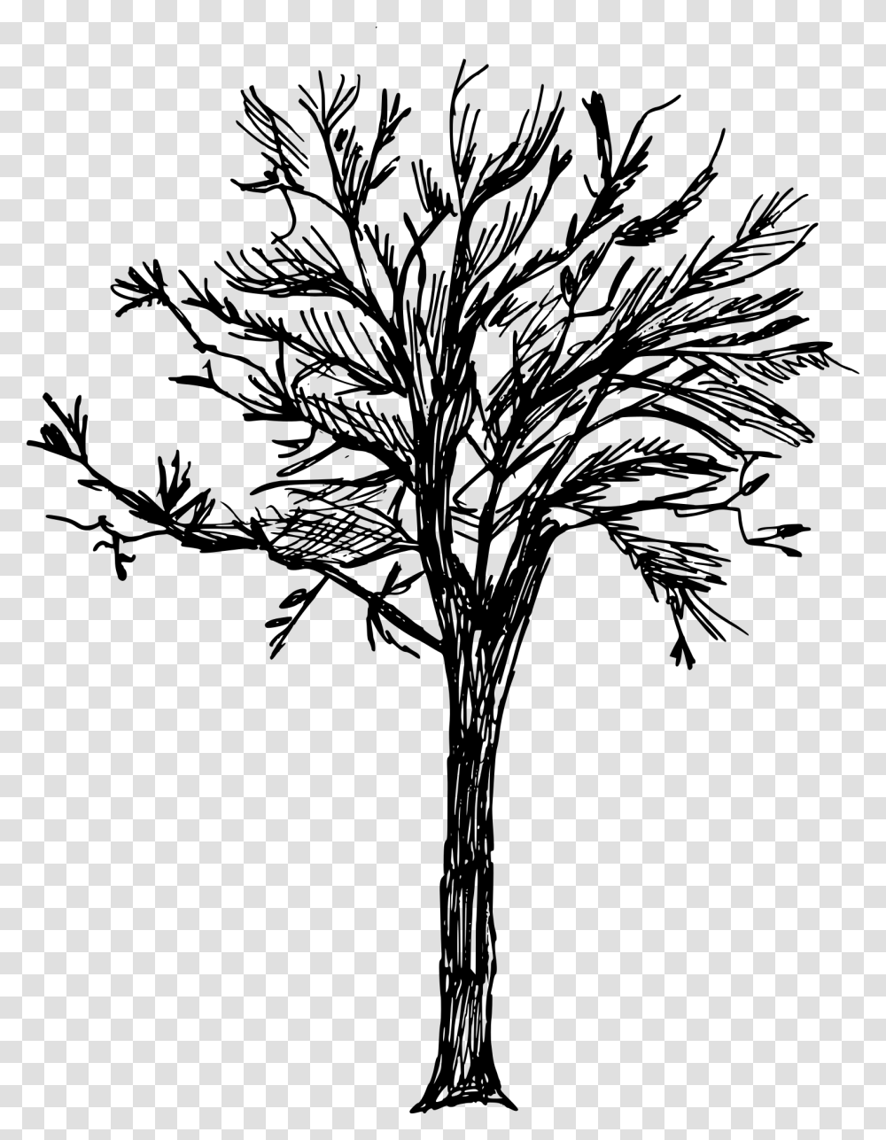 Tree Drawing No Background, Gray, World Of Warcraft Transparent Png