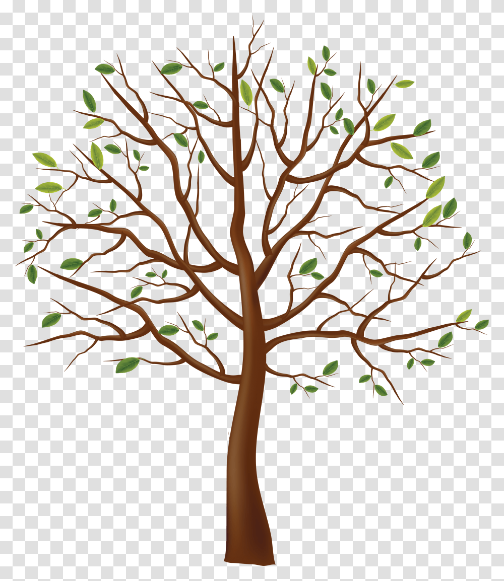 Tree Drawing Tree Clipart Background, Plant, Tree Trunk, Pattern, Outdoors Transparent Png