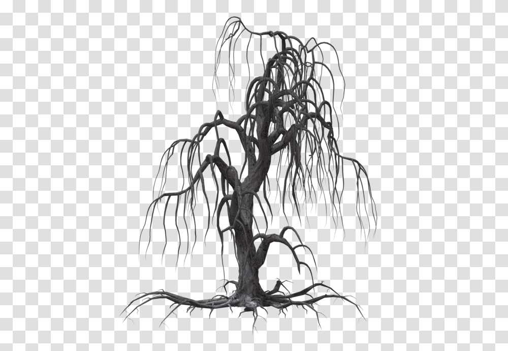 Tree Drawing Willow Clip Art Creepy Willow Tree Silhouette, Plant, Root, Wood, Photography Transparent Png