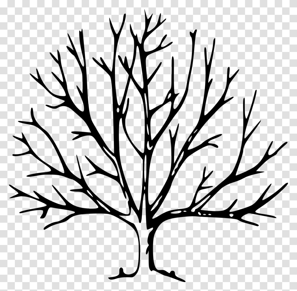 Tree Drawing With Branches Clipart Tree With No Leaves, Gray, World Of Warcraft Transparent Png