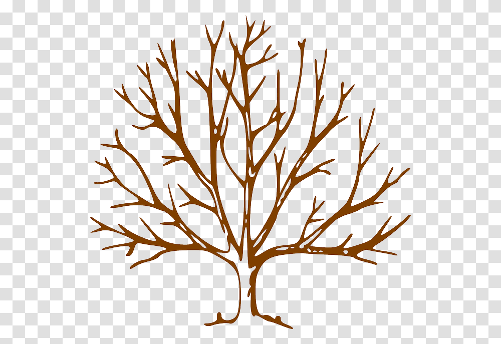 Tree Drawing With Branches, Leaf, Plant, Pineapple, Fruit Transparent Png