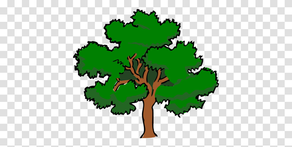 Tree Drawing With Color Images - Free Prime Factor Tree Of, Plant, Tree Trunk, Oak, Poster Transparent Png