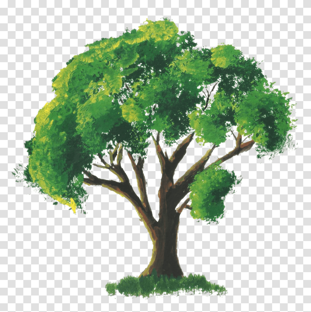 Tree Drawing With Color, Plant, Vegetation, Moss, Green Transparent Png