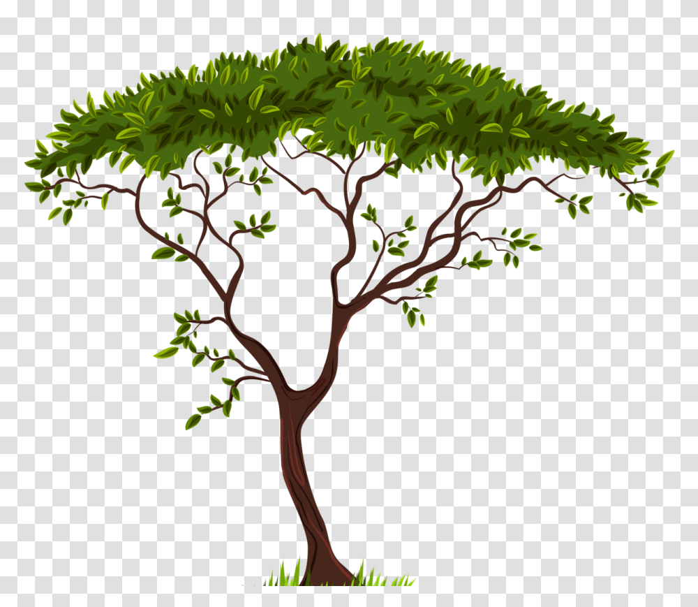 Tree Drawings, Vegetation, Plant, Bush, Woodland Transparent Png