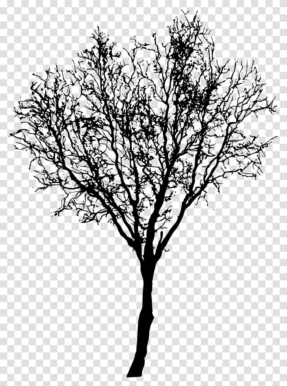Tree Dry, Plant, Leaf, Stencil, Pottery Transparent Png