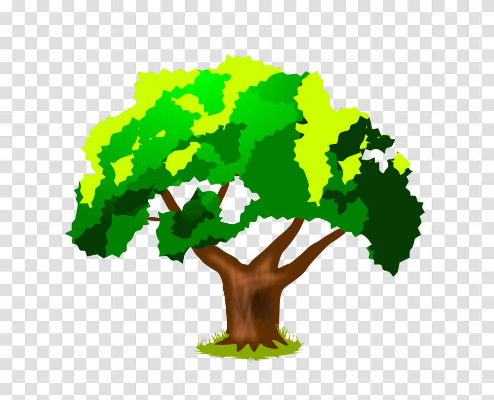 Tree Elementary School Drawing Oak, Green, Plant, Vegetation, Bush Transparent Png