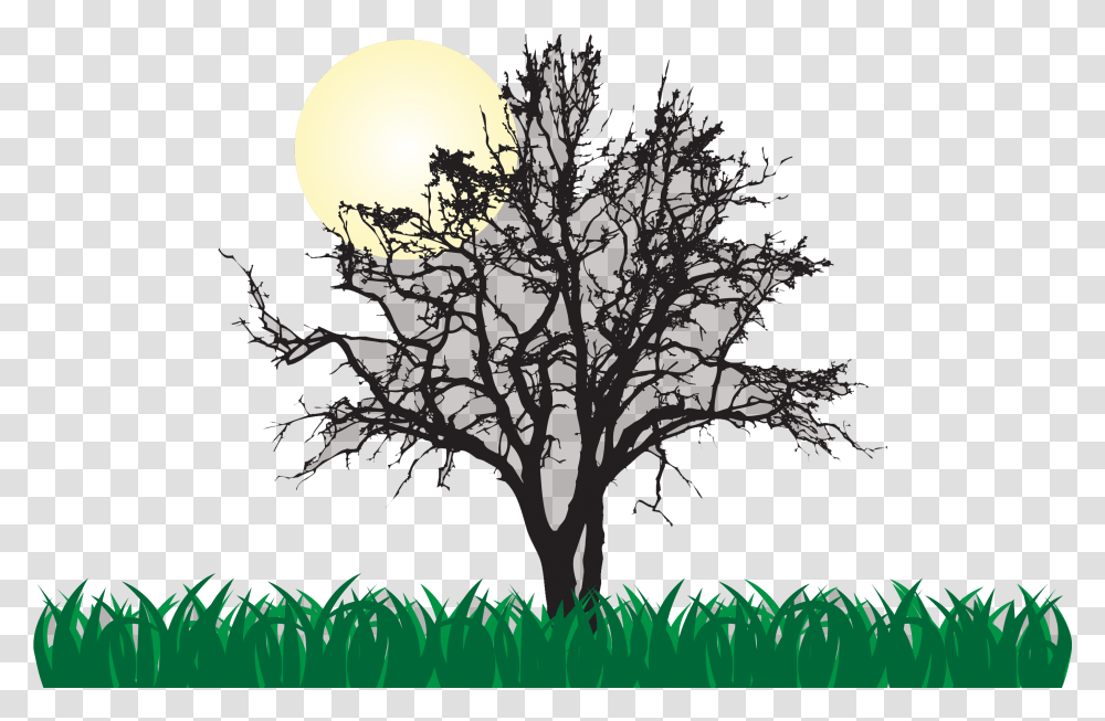 Tree Euclidean Vector Illustration Cool, Nature, Outdoors, Night, Moon Transparent Png