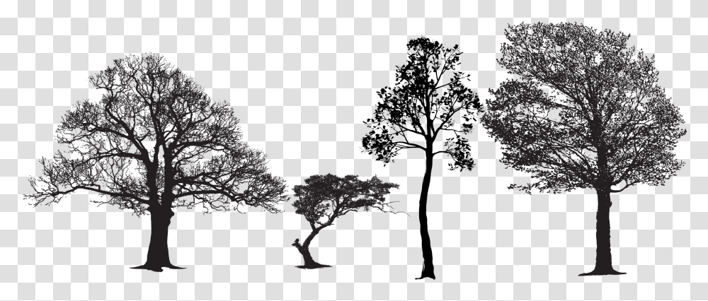 Tree Euclidean Vector Silhouette Vector Packs Tree Eps File, Person, Architecture, Building, People Transparent Png