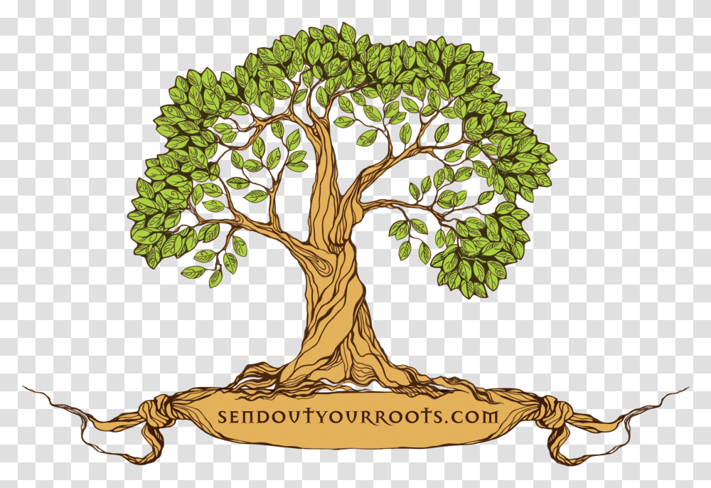 Tree Family Reunion Logo, Plant, Root, Bonsai, Potted Plant Transparent Png