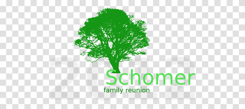 Tree Family Reunion Schomer Clip Art, Plant, Number Transparent Png
