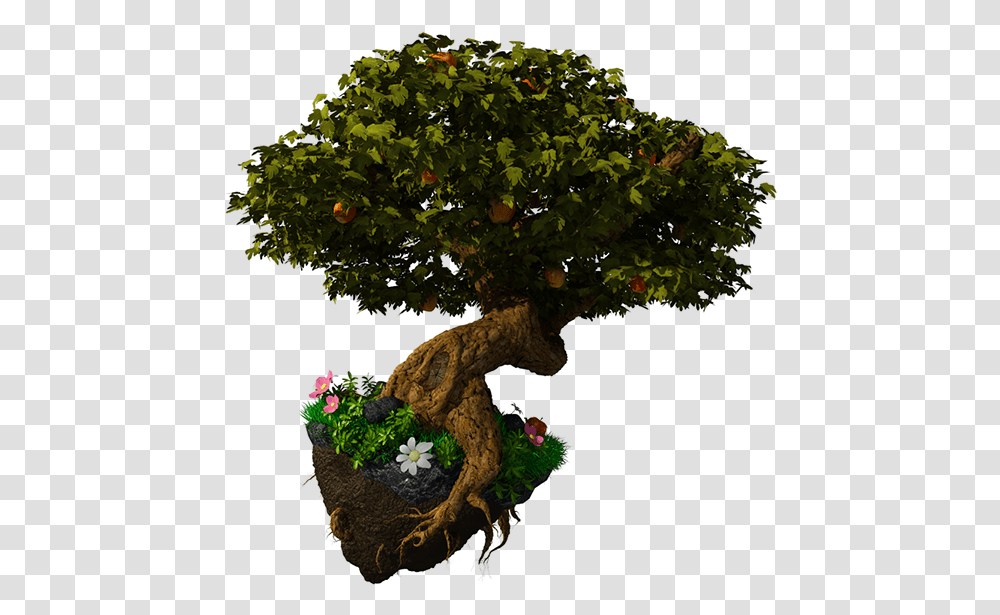 Tree Fantasy 1 Image Floating Island Real, Potted Plant, Vase, Jar, Pottery Transparent Png