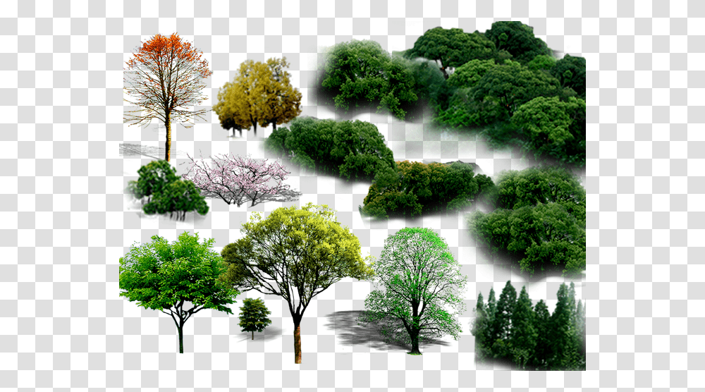 Tree File Hd Clipart Planting, Grass, Collage, Poster, Advertisement Transparent Png