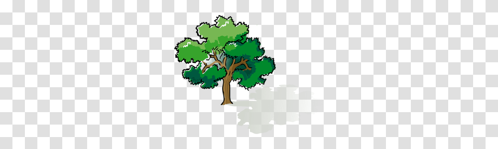Tree Free Clipart, Plant, Nature, Outdoors, Vegetation Transparent Png